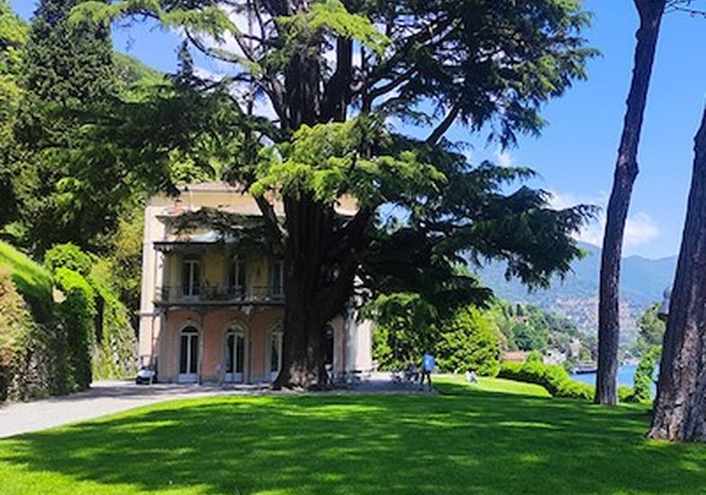 Immagine evento La scienza della creatività