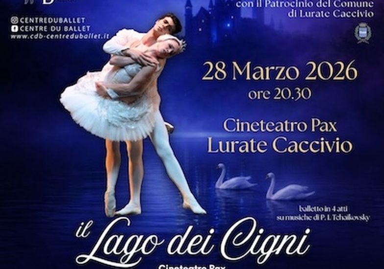 Immagine evento Il lago dei cigni