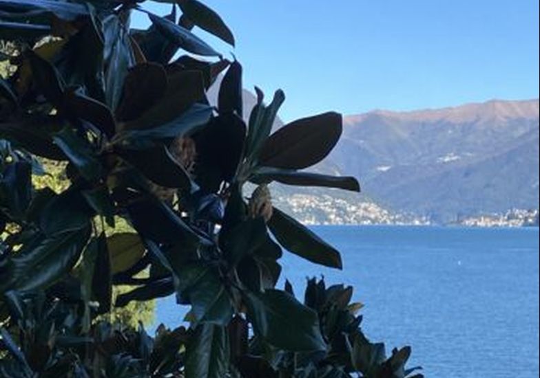 Immagine evento «La vista» - Passeggiata al risveglio della natura
